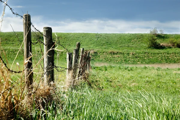 Recinzione nel prato primaverile — Foto Stock