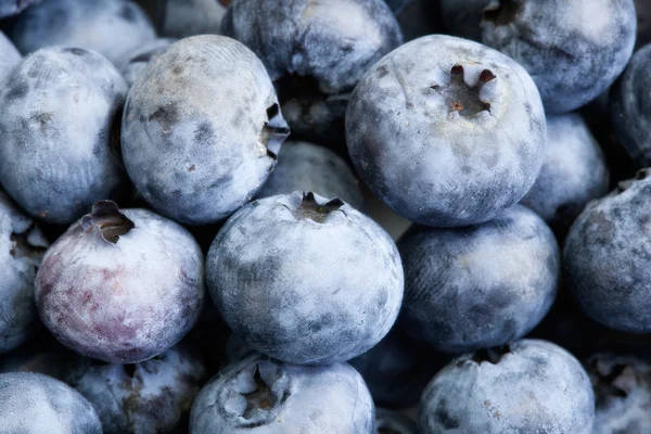 Closeup background blueberries — Stock Photo, Image