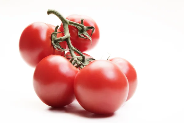 Fresh tomatoes on white background — Stock Photo, Image