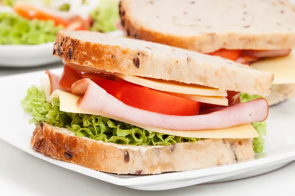 Ham and cheese sandwiches on plate — Stock Photo, Image