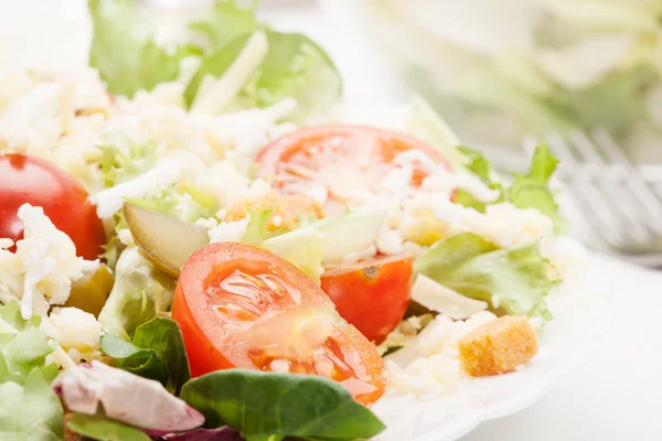 Primer plano de la ensalada. Lechuga, tomate, pepino —  Fotos de Stock