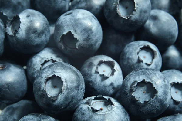 Blueberries — Stock Photo, Image