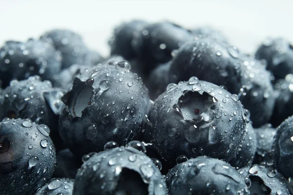 Blueberries — Stock Photo, Image