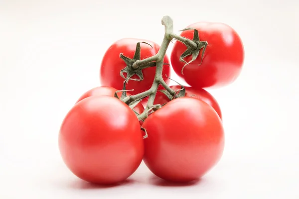 Fresh tomatoes on white background — Stock Photo, Image