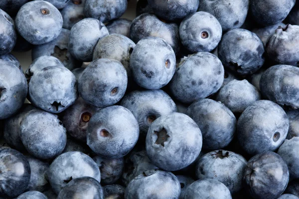 Closeup background blueberries — Stock Photo, Image