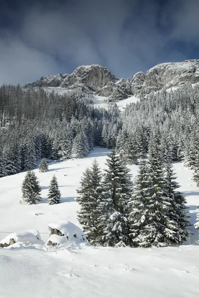 Widok snowy w Tatrach — Zdjęcie stockowe
