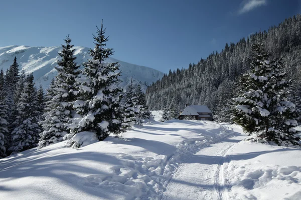 Tatra Dağları'nda karlı görünümü — Stok fotoğraf