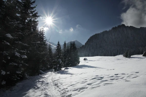 Besneeuwde weergave in tatra gebergte — Stockfoto