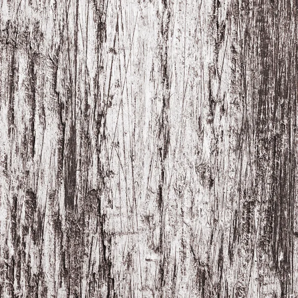 Wood Background Texture — Stock Photo, Image