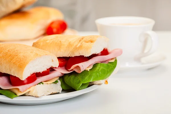 Italiaanse panini sandwich — Stockfoto