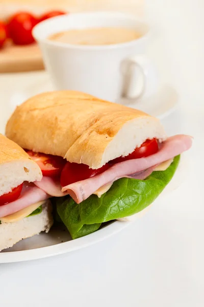 Italiensk panini sandwich – stockfoto