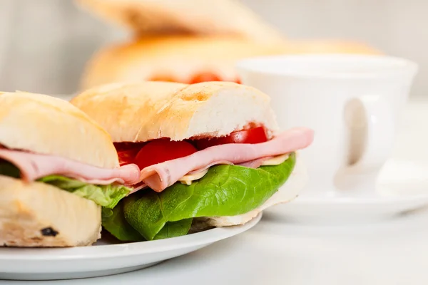 Italiaanse panini sandwich — Stockfoto