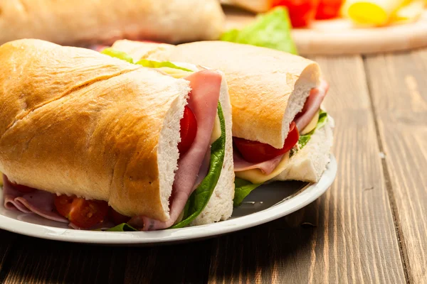 Sanduíche panini italiano — Fotografia de Stock