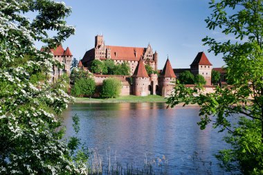 Teutonic castle in Malbork clipart