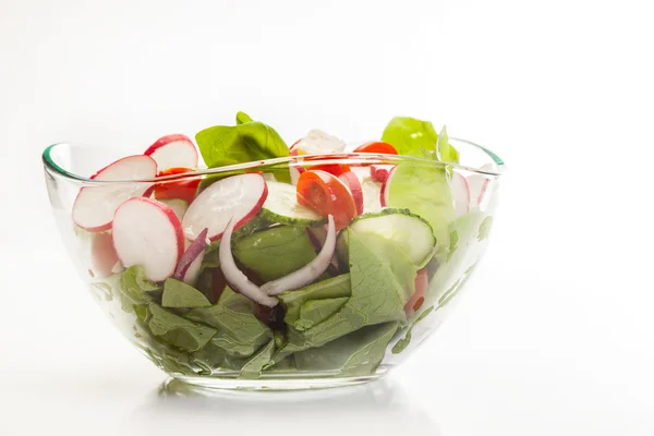 Ensalada de verduras frescas con pepino y rábano — Foto de Stock