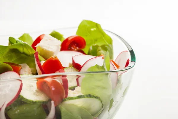 Ensalada de verduras frescas con pepino y rábano —  Fotos de Stock