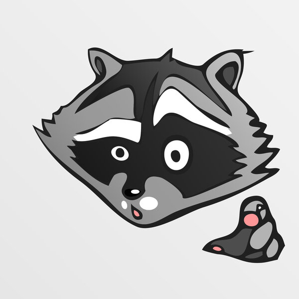 Vector illustration of cute raccoon.