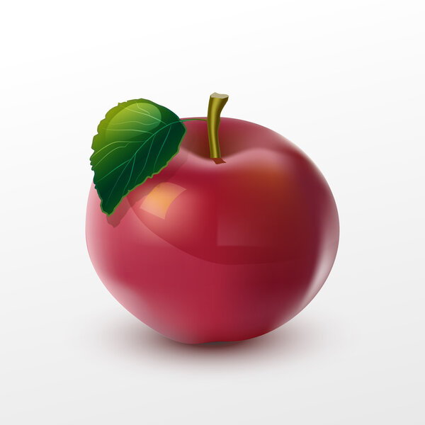 Vector illustration of apple.