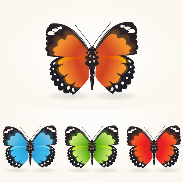 Vector Butterfly Collection White Bacground — Stock Vector