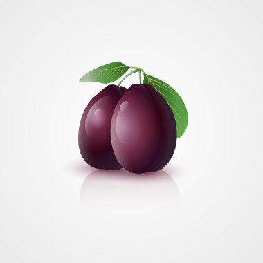 Plums with leaves. Vector illustration. clipart