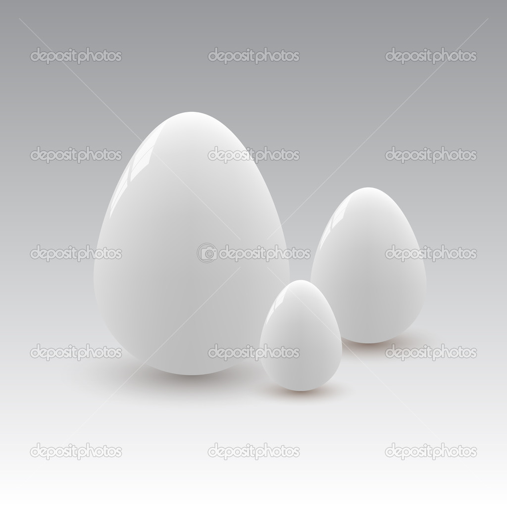 Vector illustration of white eggs.
