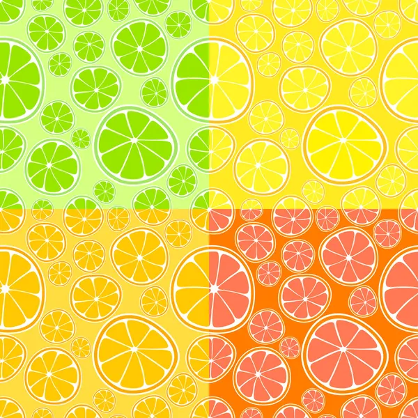 Vector Achtergrond Met Citrus — Stockvector