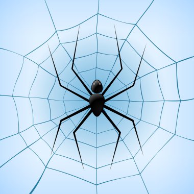 spiderweb örümcek üzerinde mavi arka plan ile. vektör çizim