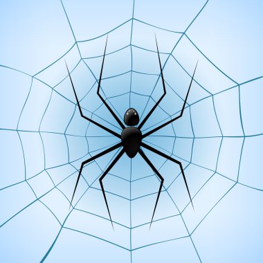 A Spiderweb with Spider on blue background. Vector Illustration clipart