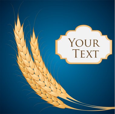 Vector background with ears of wheat. clipart