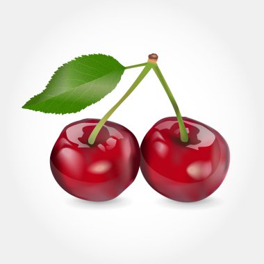 Vector illustration of a cherry. clipart