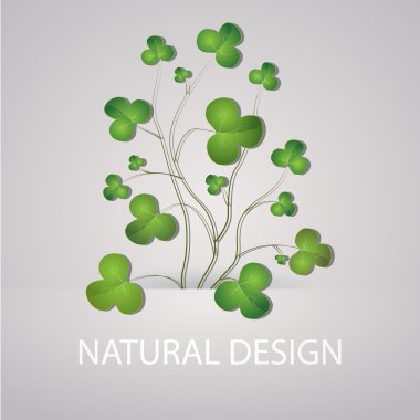 Vector background with clovers. clipart