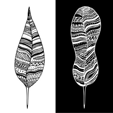 Abstract black and white feathers. clipart