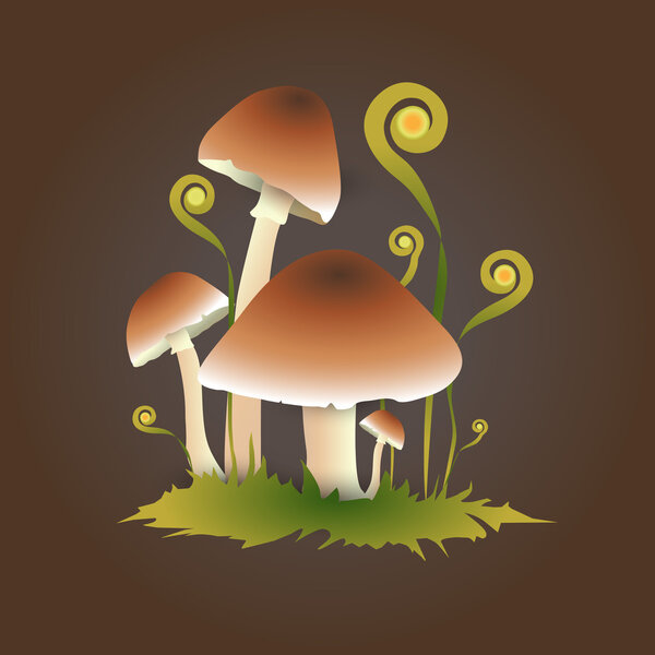 Vector illustration of mushrooms.