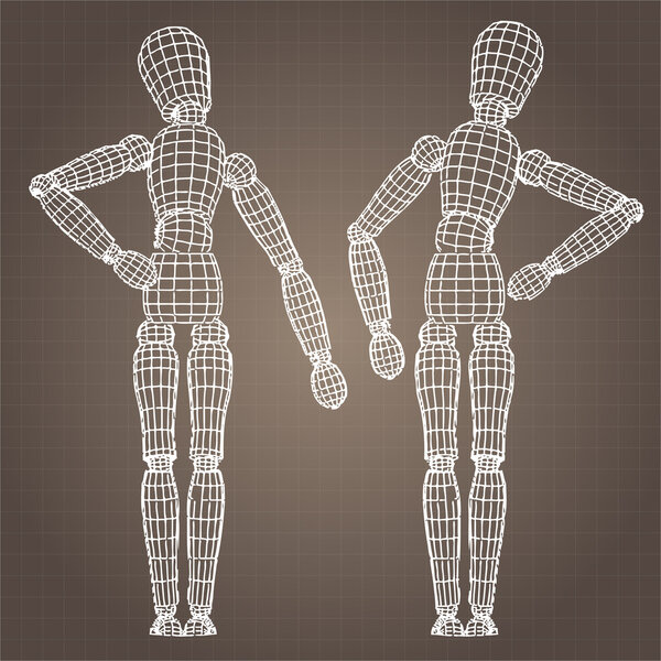 Векторная модель тела
.