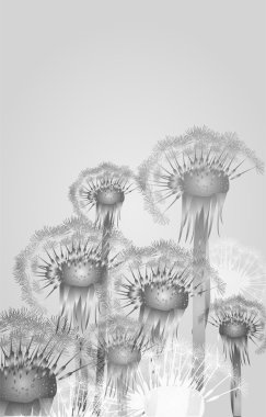 Vector background with dandelion. clipart
