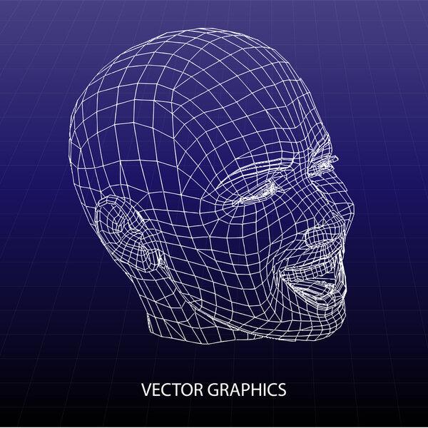Vector model of face.