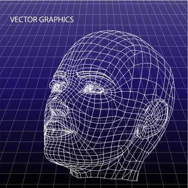 Vector model of face. clipart