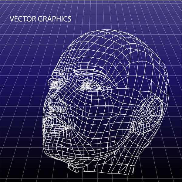 Vector model of face.