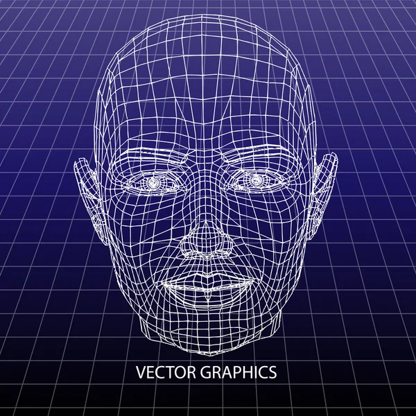 Vektormodell Des Gesichts — Stockvektor