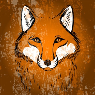 Red fox. Vector illustration. clipart