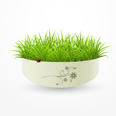 Grass in a vase. clipart
