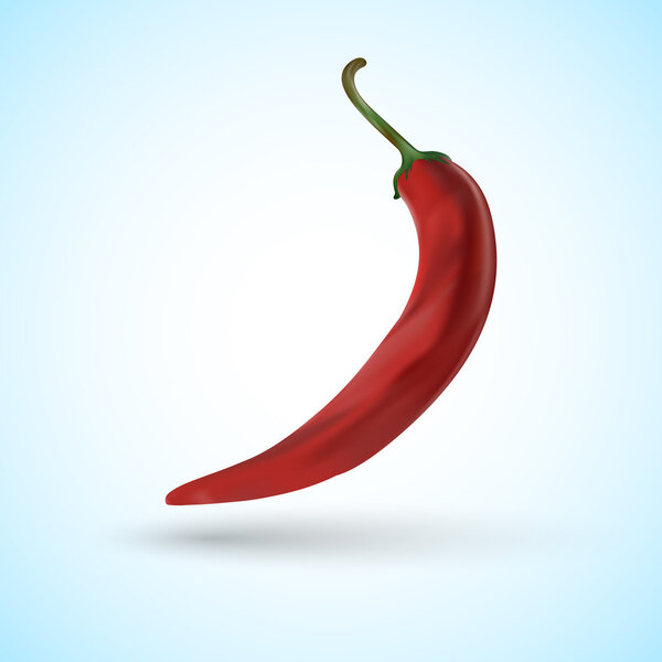Vector illustration of a chili pepper.
