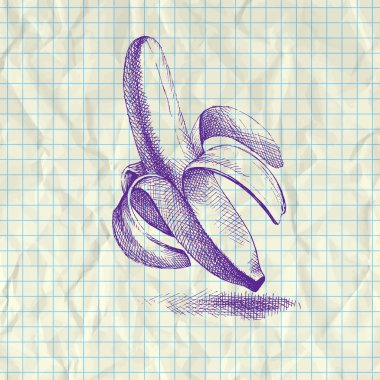 Sketch illustration of banana on notebook paper. clipart