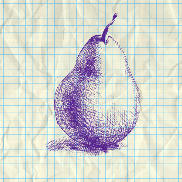 Sketch illustration of pear on notebook paper.