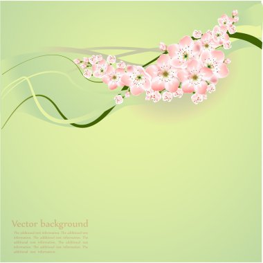 Spring background with spring flowers - vector illustration clipart