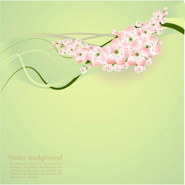 Fundo Primavera Com Flores Primavera Ilustração Vetorial — Vetor de Stock