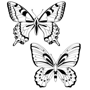 Vector butterflies in black and white - vector illustration clipart