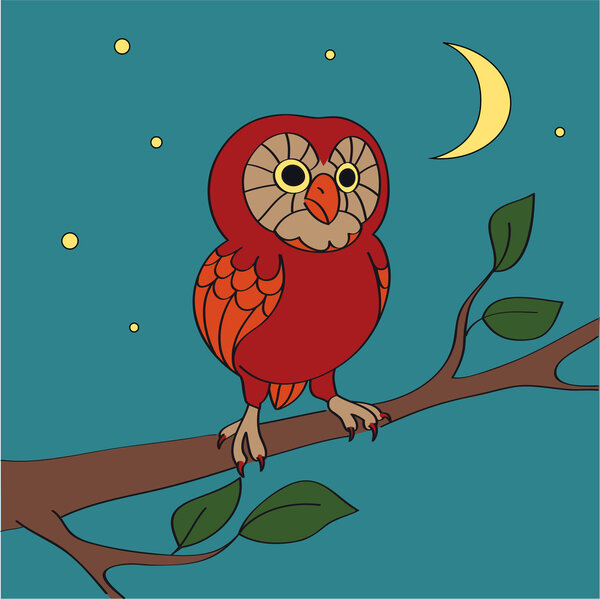A vector cartoon night owl - vector illustration