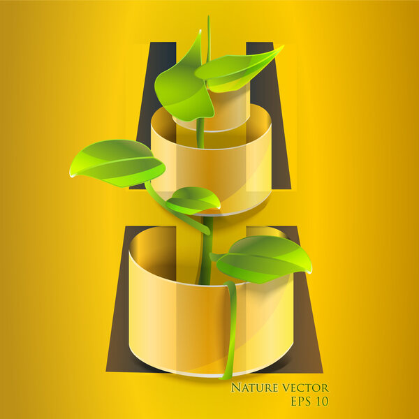 Vector illustration of flower in pot.