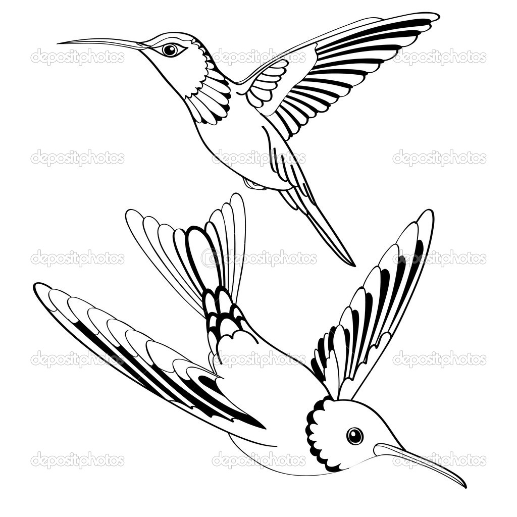 Vector birds in black and white